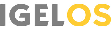 IGEL Standard (Priority) 5 year (1 to 99)